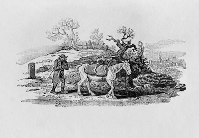 Oies transportées au marché, tiré de 